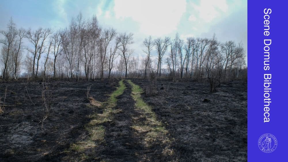 En grusvei går gjennom et nedbrent jorde med løvløse trær i bakgrunnen; på et loddrett lilla banner til høyre står det "Scene Domus Bibliotheca".